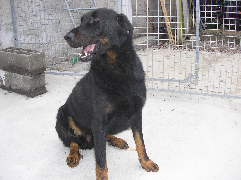 Athos of elliotson's